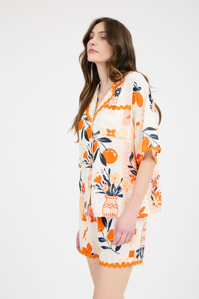 Orange Fruit Set