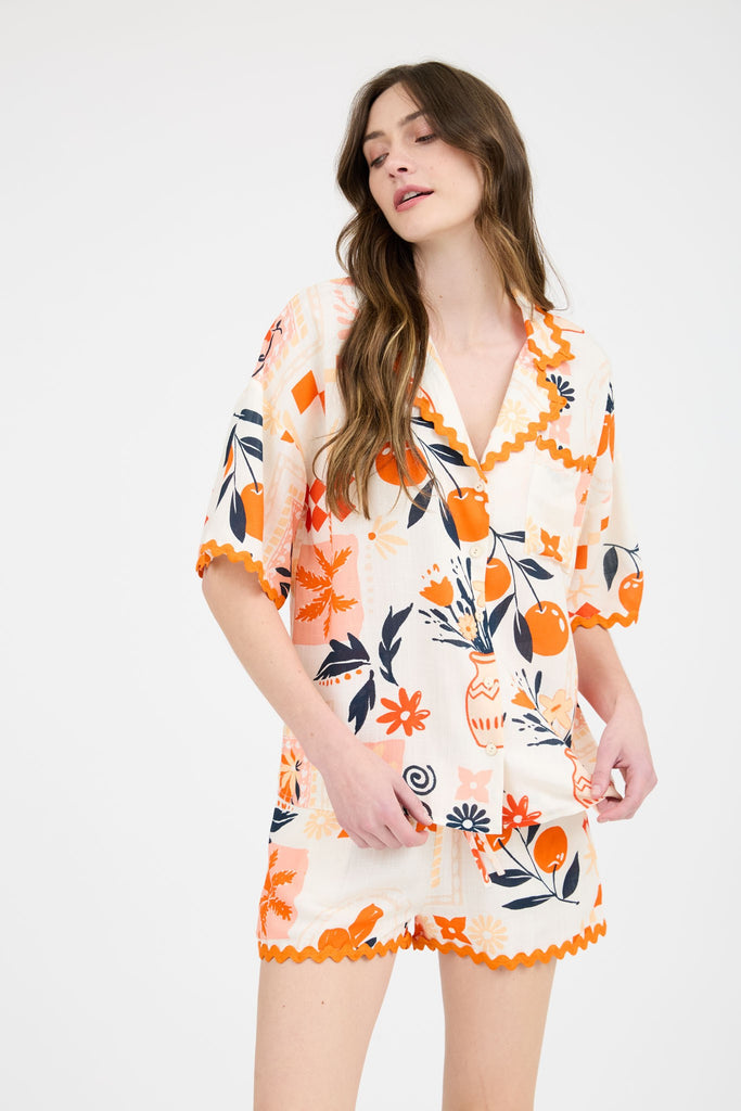 Orange Fruit Set
