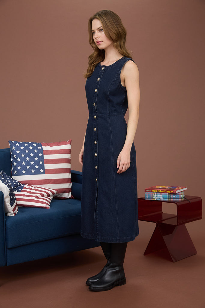 Nikki Denim Dress