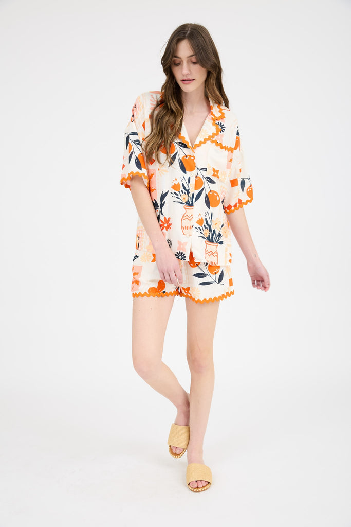 Orange Fruit Set